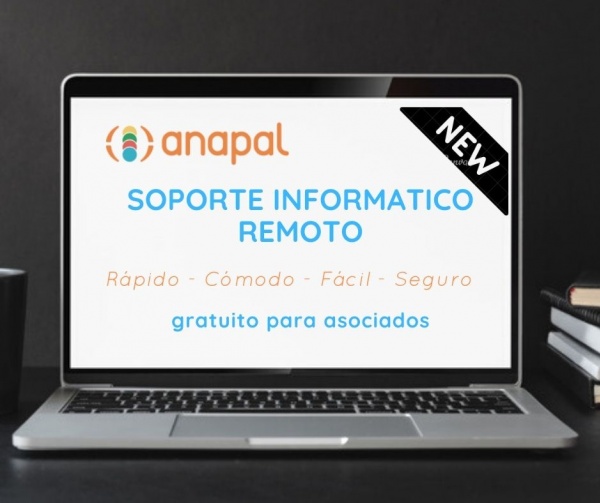 Soporte informatico remoto